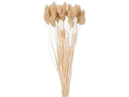  hCt[ |Avc #132 ~NeB[ 10g