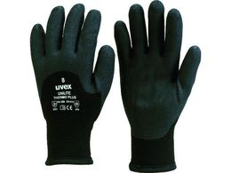 UVEX ���j���C�g�T�[���v���X L 6059269