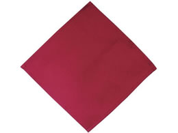 EBM �J�g�����[�P�[�X�p�i�v�L�� 10���� �f�B�[�v���b�h 230�~230