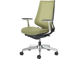 �R�N�� �`�F�A �f���I��2 �A���~�r ���b�V�� �O���X�O���[��