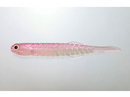 issei CY J^N`[Zbgdl 14g#2^0+4.5