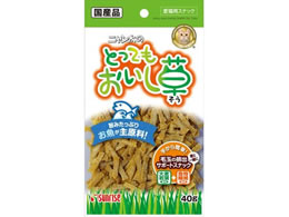 }J ĵƂĂ 40g SNY-003