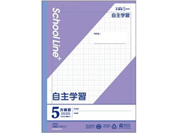 LNgE XN[CvX Ȗږ wK Z~B5 30