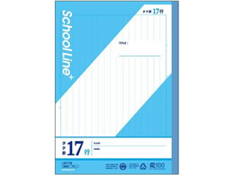 LNgE XN[CvX ^er17s Z~B5 30 LSP17M