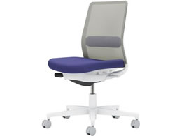 RN lbg IȂ wʐF fB[vp[v^CgO[