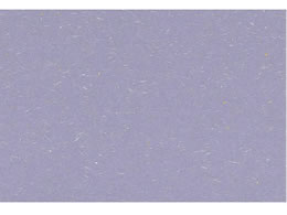 �A�[�e�b�N �ڎO�}�b�g ������� 100���� KT-3 ����� 0561420