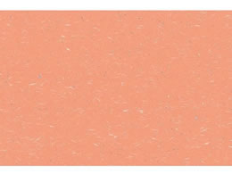 �A�[�e�b�N �ڎO�}�b�g ������� 100���� KT-7 ��������