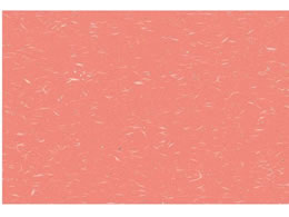 �A�[�e�b�N �ڎO�}�b�g ������� 100���� KT-8 ������ 0561470