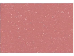 �A�[�e�b�N �ڎO�}�b�g ������� 100���� KT-9 ���� 0561480