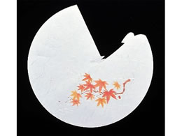 �A�[�e�b�N �V�V �����ڂ����l�G 100�� RB-08 ���݂�