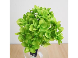 YDM  A[hnChWAoh _[NO[