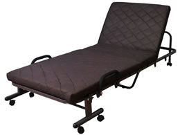 �t�@�~���[�E���C�t ���[�����N���C�j���O�x�b�h �Z�~�V���O�� �u���E�� a3545810