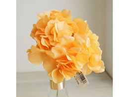 ������ ���� �A���X�n�C�h�����W�A #6 �s�[�`�I�����W