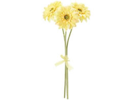 ������ ���� �\���C���K�[�x���o���h�� ���C�g�C�G���[