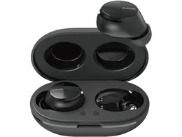 GR Bluetoothwbhz USB-C ubN 1 LBT-TWS12BK