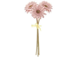 ������ ���� �V���r�[�K�[�x���o���h�� �O���C���[�u