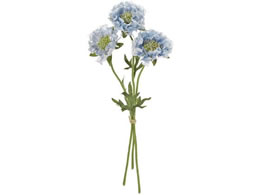 ������ ���� �t�����W�X�J�r�I�T #5 BLUE �u���[