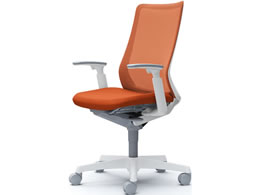 IJ t[Gg nCobN zCg{fB AWXgA[ IWbh