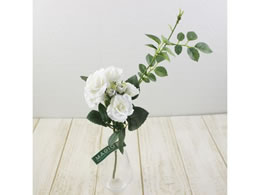 ������ ���� �p���b�g���[�Y #1 WHITE �z���C�g