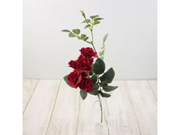 ������ ���� �p���b�g���[�Y #3 RED ���b�h