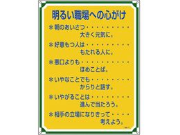 ���S�E�S���W�� ���邢�E��ւ̐S���� �Ǘ�117 �G���r