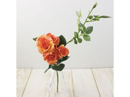 ������ ���� �p���b�g���[�Y #29 �_�[�N�I�����W