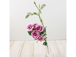 ������ ���� �p���b�g���[�Y #48 �s���N�r���[�e�B