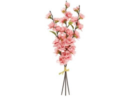 ������ ���� ���ԏ��� DKPK �_�[�N�s���N