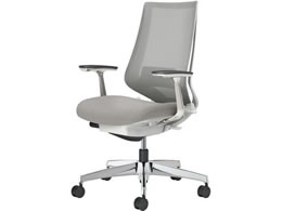 �R�N�� �`�F�A �f���I��2 �A���~�r ���b�V�� �\�t�g�O���[