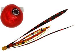 WbJ  rr XCh 60g #F179