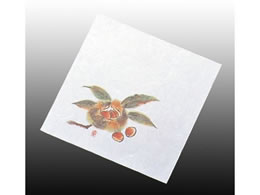 �A�[�e�b�N ���� �j���[�l�G���� 5�� 100�� NS-13 ����