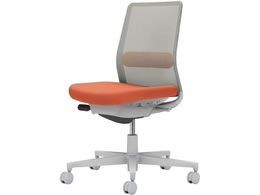 RN lbg IȂ wʐF \tgeRb^^CgO[