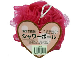 �V�X�e���|���}�[ �V�����[�{�[�� �s���N 200�� ZSP-6P