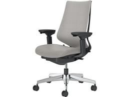 �R�N�� �`�F�A �f���I��2 �A���~�r �N�b�V���� �\�t�g�O���[