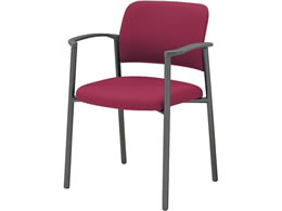 RN cpCX100 z It Œr O[r }[