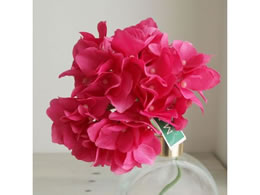   AXnChWA #216 rrbhr[eB