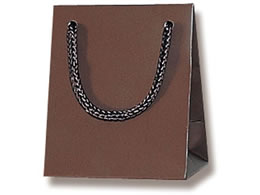 �w�C�R�[ ��񂰎��� �u���C�g�o�b�O T-5 �`���R�u���E�� MT 10��