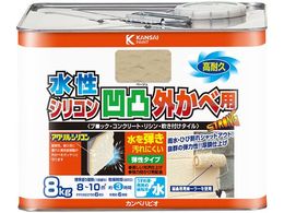 JynsI VRʊOחp x[W 8K