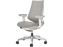 �R�N�� �`�F�A �f���I��2 �A���~�r �N�b�V���� �\�t�g�O���[