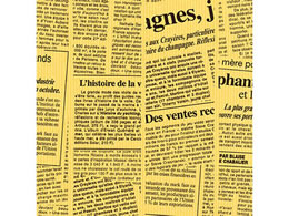 ^J  ؓj[X^[ ˔(530~757mm) 50