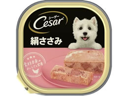 }[XWp V[U[  100g CE10N