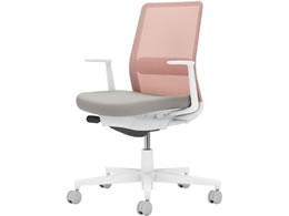 RN lbg L^I wʐF CgO[^AbVsN