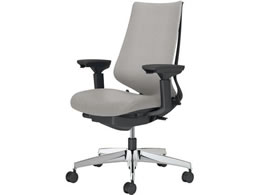 �R�N�� �`�F�A �f���I��2 �A���~�r �N�b�V���� �\�t�g�O���[