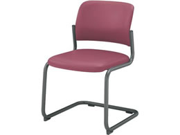 RN cpCX100 PUU[ I J`o[r O[r[Y