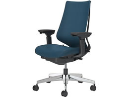 �R�N�� �`�F�A �f���I��2 �A���~�r �N�b�V���� �l�C�r�[