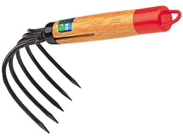 �L���{�V �E�ҌF��