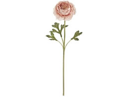   iLX\lbg #42 AT.PK 171