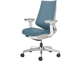 �R�N�� �`�F�A �f���I��2 �A���~�r �N�b�V���� �����e�B�R���u���[