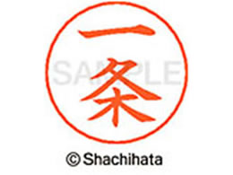 V`n^ l[ypl[ Vo[   X-GPS-0250