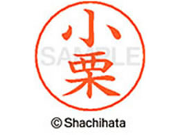 V`n^ l[ypl[ Vo[  I X-GPS-0573